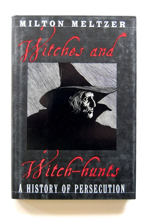 Witch hunt novel